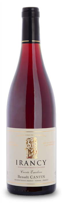 Discover the Irancy Cuvée Emeline of Domaine Benoit Cantin, subtlety of red fruits, heady and charming wine, slightly woody.