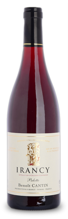 Discover the Irancy Palotte from Domaine Benoit Cantin, red fruit aromas, tannic and heady